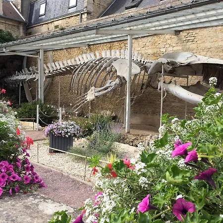 Maisonnette Avec Terrasse A 50m De La Plage * Luc-sur-Mer