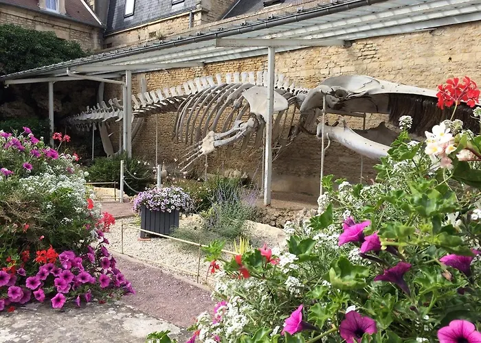 Maisonnette Avec Terrasse A 50m De La Plage * Luc-sur-Mer